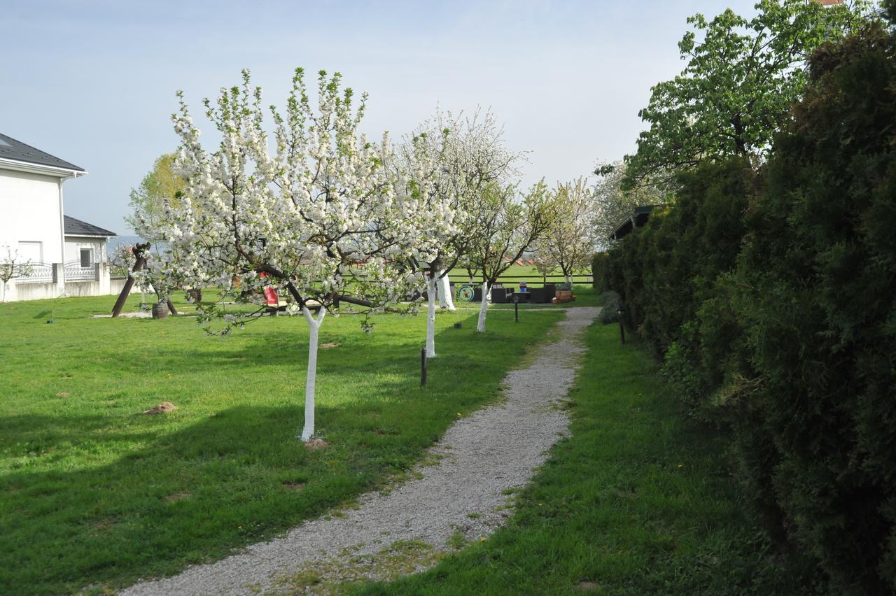 Klet Cinkus Panzió Hrvatski Leskovac Kültér fotó